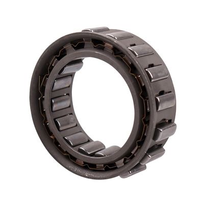 comprare Frizione a ruota libera con fermo di tipo DC Series Sprag Cage GCr15 online manufacture